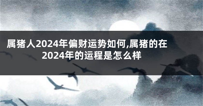 属猪人2024年偏财运势如何,属猪的在2024年的运程是怎么样