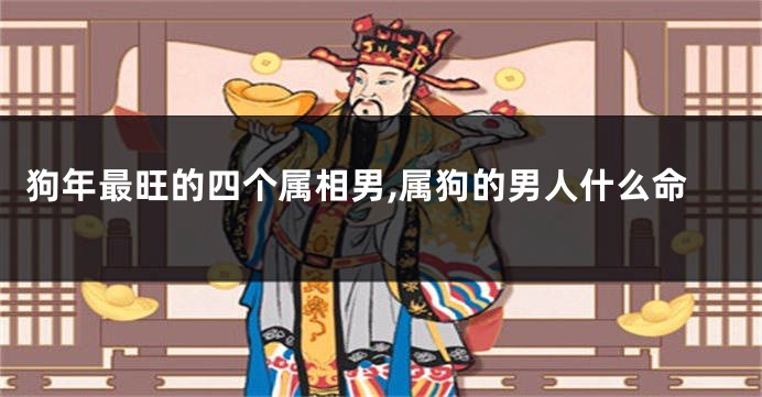 狗年最旺的四个属相男,属狗的男人什么命