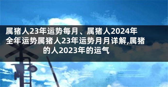 属猪人23年运势每月、属猪人2024年全年运势属猪人23年运势月月详解,属猪的人2023年的运气