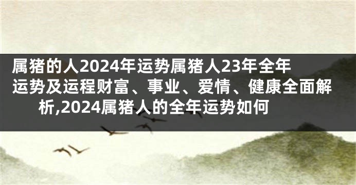 属猪的人2024年运势属猪人23年全年运势及运程财富、事业、爱情、健康全面解析,2024属猪人的全年运势如何