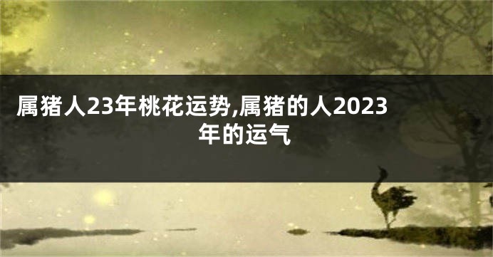 属猪人23年桃花运势,属猪的人2023年的运气