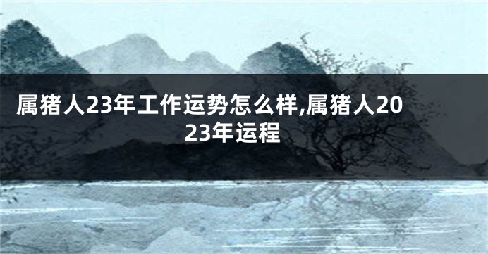 属猪人23年工作运势怎么样,属猪人2023年运程