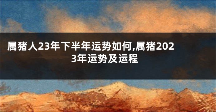 属猪人23年下半年运势如何,属猪2023年运势及运程