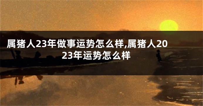 属猪人23年做事运势怎么样,属猪人2023年运势怎么样