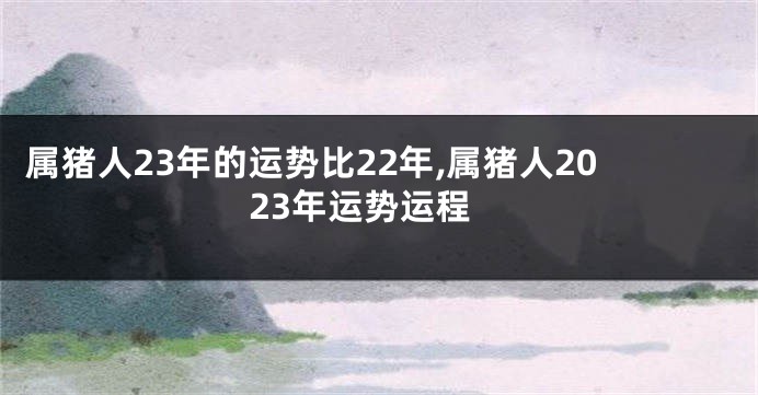 属猪人23年的运势比22年,属猪人2023年运势运程