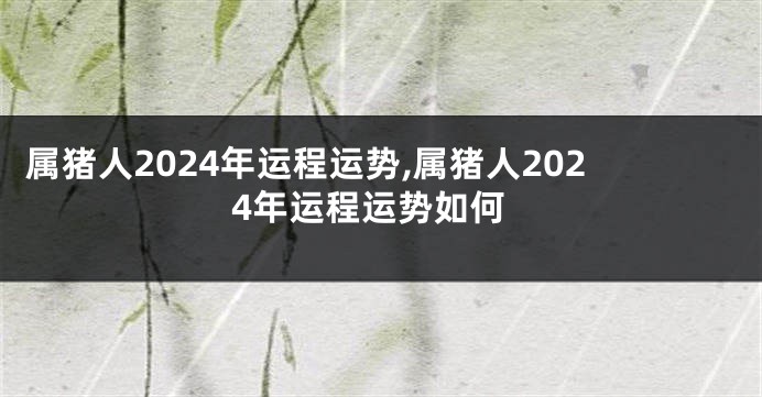 属猪人2024年运程运势,属猪人2024年运程运势如何