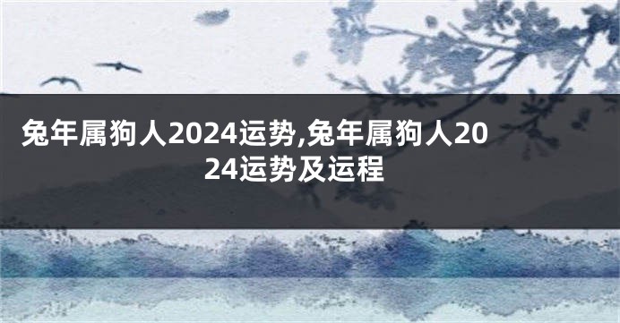 兔年属狗人2024运势,兔年属狗人2024运势及运程