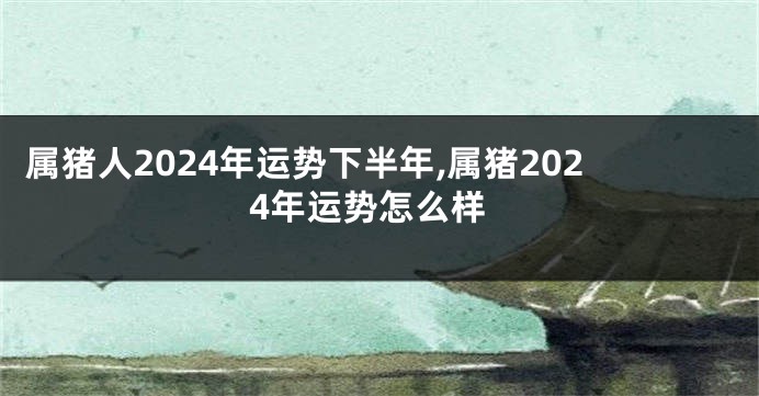 属猪人2024年运势下半年,属猪2024年运势怎么样