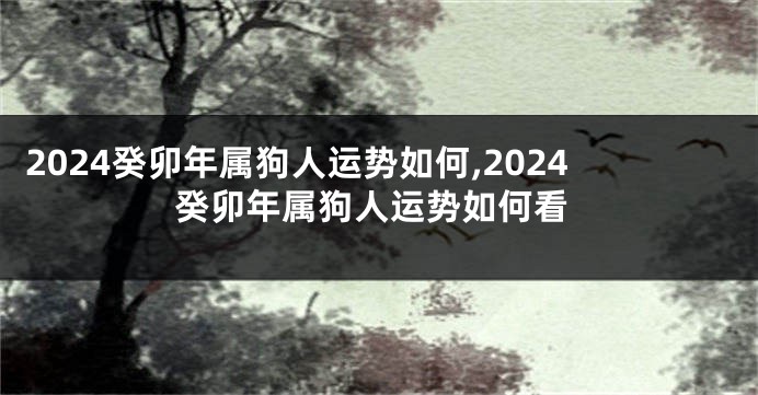 2024癸卯年属狗人运势如何,2024癸卯年属狗人运势如何看