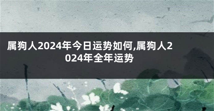 属狗人2024年今日运势如何,属狗人2024年全年运势