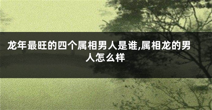 龙年最旺的四个属相男人是谁,属相龙的男人怎么样