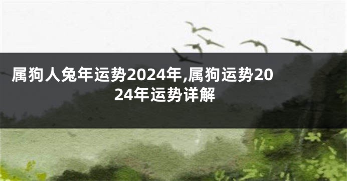 属狗人兔年运势2024年,属狗运势2024年运势详解