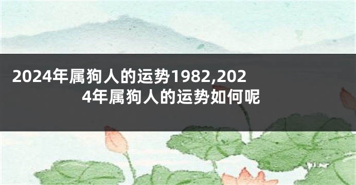 2024年属狗人的运势1982,2024年属狗人的运势如何呢