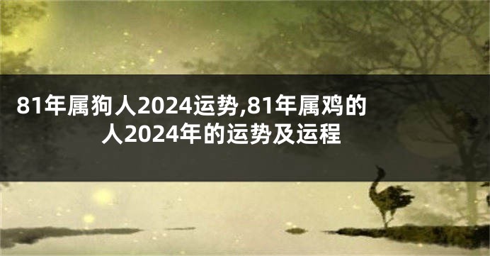 81年属狗人2024运势,81年属鸡的人2024年的运势及运程