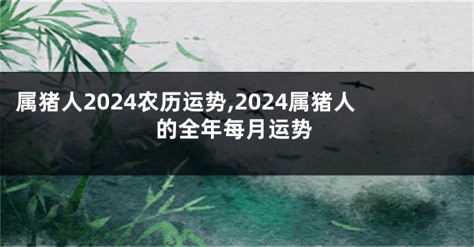 属猪人2024农历运势,2024属猪人的全年每月运势