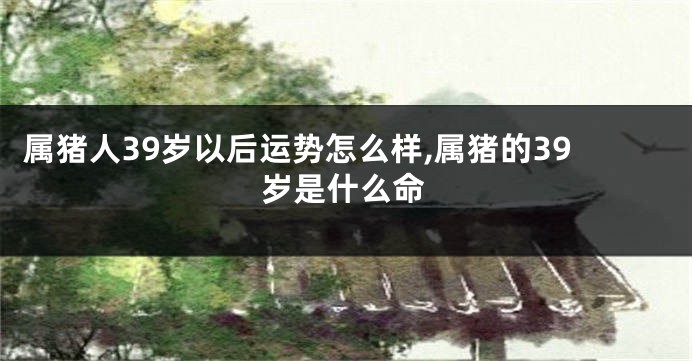 属猪人39岁以后运势怎么样,属猪的39岁是什么命