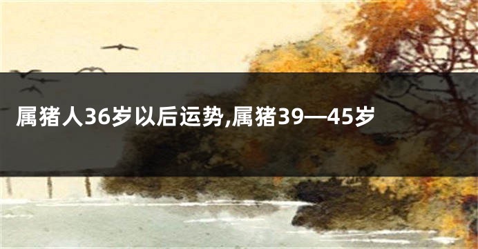 属猪人36岁以后运势,属猪39—45岁