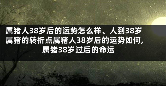 属猪人38岁后的运势怎么样、人到38岁属猪的转折点属猪人38岁后的运势如何,属猪38岁过后的命运