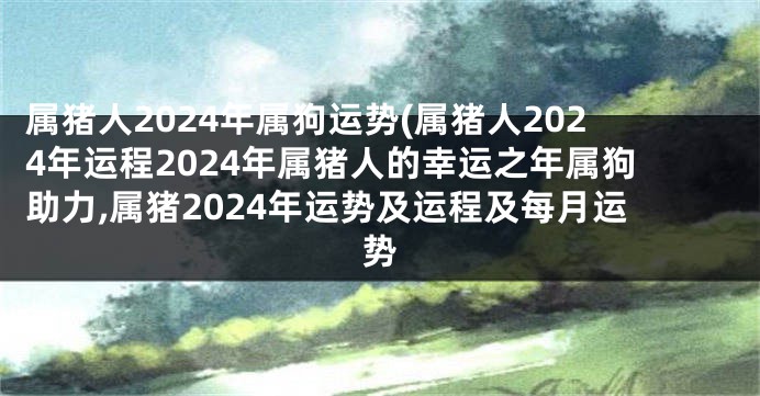 属猪人2024年属狗运势(属猪人2024年运程2024年属猪人的幸运之年属狗助力,属猪2024年运势及运程及每月运势