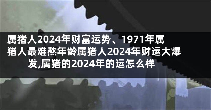 属猪人2024年财富运势、1971年属猪人最难熬年龄属猪人2024年财运大爆发,属猪的2024年的运怎么样