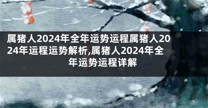 属猪人2024年全年运势运程属猪人2024年运程运势解析,属猪人2024年全年运势运程详解