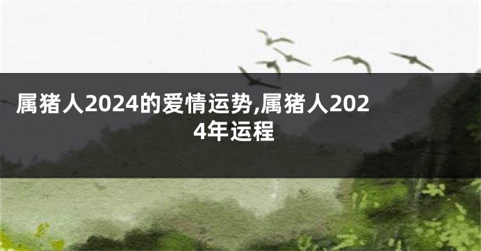 属猪人2024的爱情运势,属猪人2024年运程