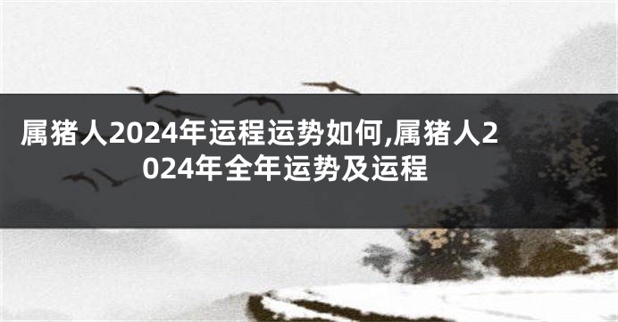 属猪人2024年运程运势如何,属猪人2024年全年运势及运程