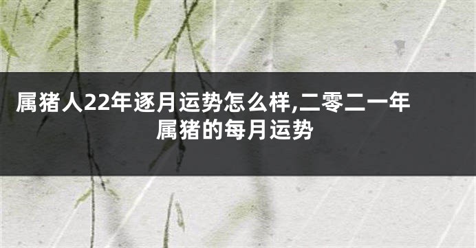 属猪人22年逐月运势怎么样,二零二一年属猪的每月运势