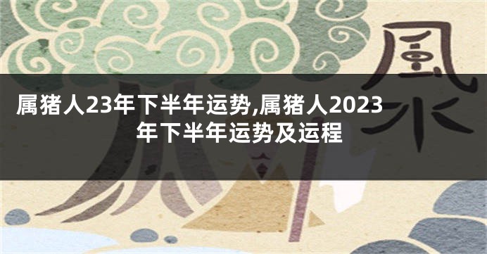 属猪人23年下半年运势,属猪人2023年下半年运势及运程