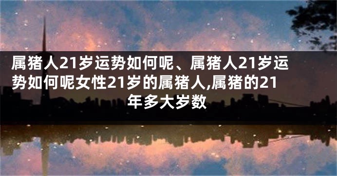 属猪人21岁运势如何呢、属猪人21岁运势如何呢女性21岁的属猪人,属猪的21年多大岁数