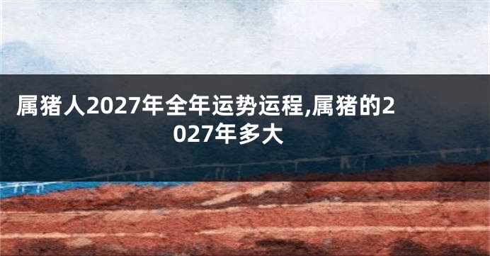 属猪人2027年全年运势运程,属猪的2027年多大