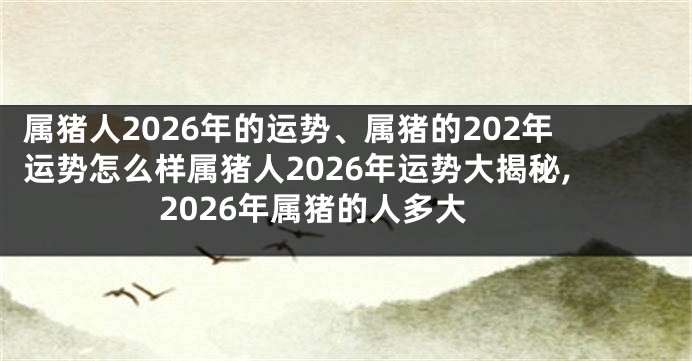 属猪人2026年的运势、属猪的202年运势怎么样属猪人2026年运势大揭秘,2026年属猪的人多大