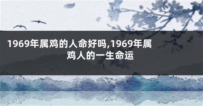 1969年属鸡的人命好吗,1969年属鸡人的一生命运