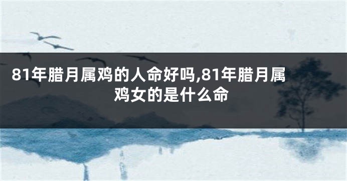 81年腊月属鸡的人命好吗,81年腊月属鸡女的是什么命