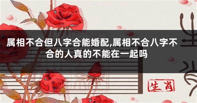 属相不合但八字合能婚配,属相不合八字不合的人真的不能在一起吗