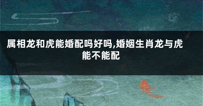 属相龙和虎能婚配吗好吗,婚姻生肖龙与虎能不能配