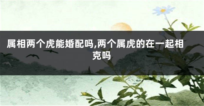 属相两个虎能婚配吗,两个属虎的在一起相克吗