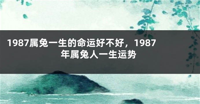 1987属兔一生的命运好不好，1987年属兔人一生运势