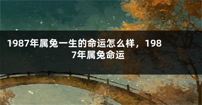 1987年属兔一生的命运怎么样，1987年属兔命运