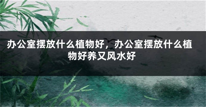 办公室摆放什么植物好，办公室摆放什么植物好养又风水好