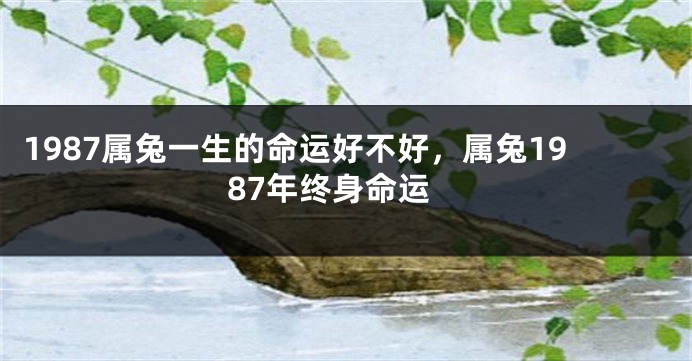 1987属兔一生的命运好不好，属兔1987年终身命运