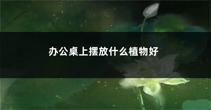 办公桌上摆放什么植物好