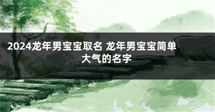 2024龙年男宝宝取名 龙年男宝宝简单大气的名字