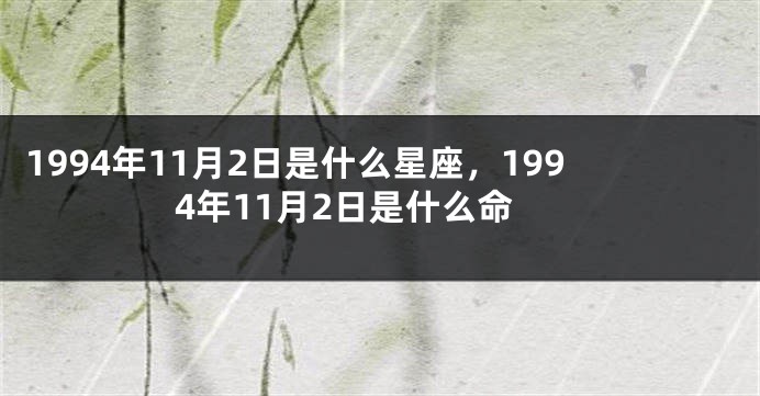 1994年11月2日是什么星座，1994年11月2日是什么命