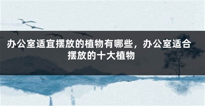 办公室适宜摆放的植物有哪些，办公室适合摆放的十大植物