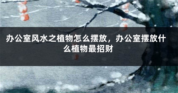 办公室风水之植物怎么摆放，办公室摆放什么植物最招财