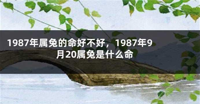 1987年属兔的命好不好，1987年9月20属兔是什么命