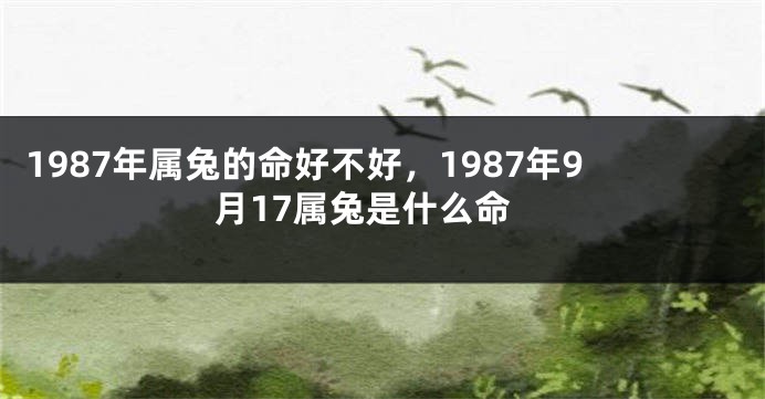 1987年属兔的命好不好，1987年9月17属兔是什么命