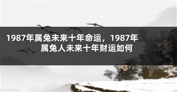 1987年属兔未来十年命运，1987年属兔人未来十年财运如何