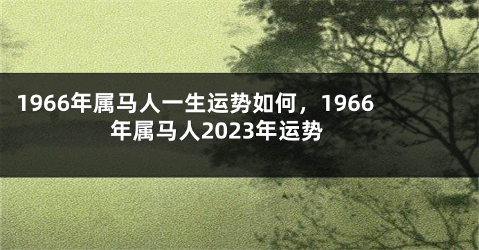 1966年属马人一生运势如何，1966年属马人2023年运势